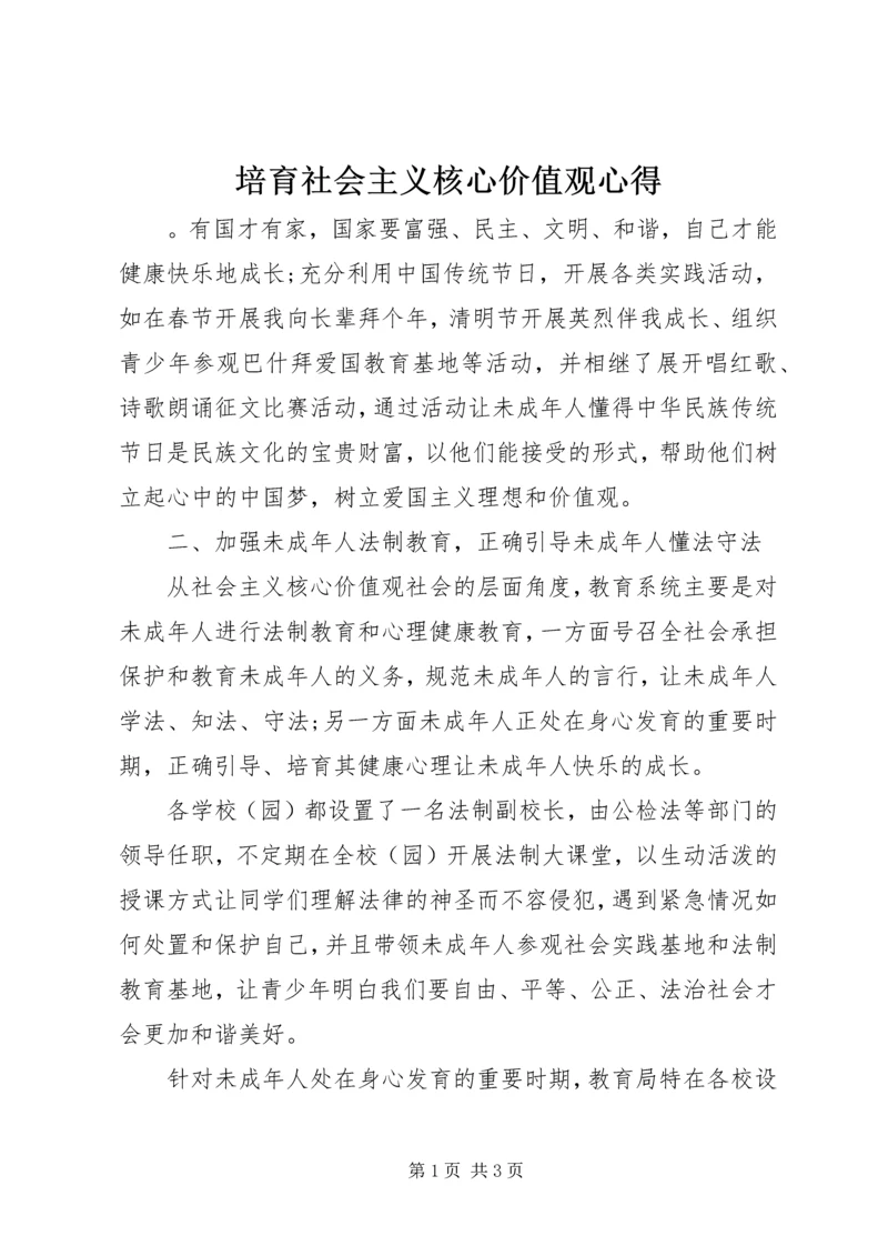 培育社会主义核心价值观心得 (2).docx