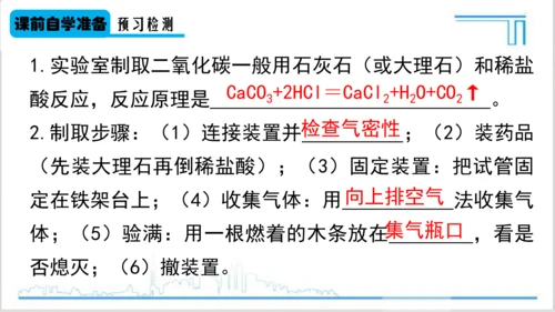 实验活动2 二氧化碳的实验室制取与性质