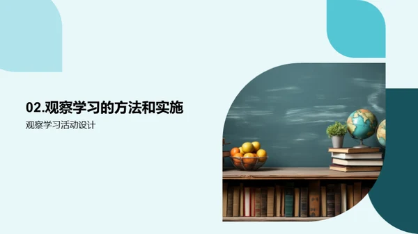 深化观察学习理解