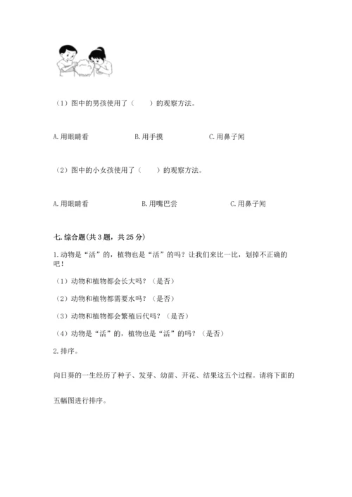 教科版科学一年级上册第一单元《植物》测试卷（完整版）word版.docx