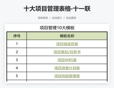 十大项目管理表格-十一联