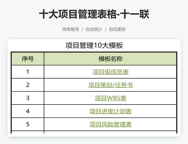 十大项目管理表格-十一联