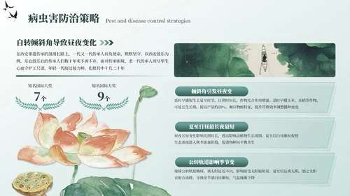 墨绿色中国风夏至节气PPT模板