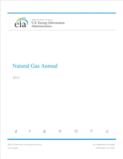 eia2017年天然气年度报告英文