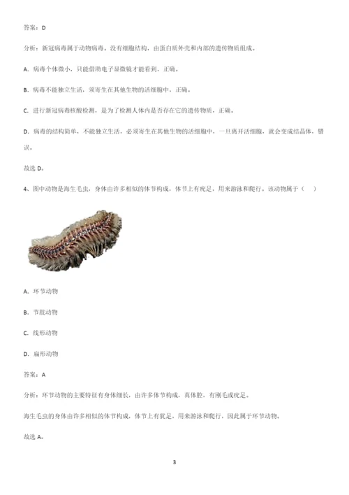 人教版初中生八年级上册第五单元生物圈中的其他生物易混淆知识点.docx