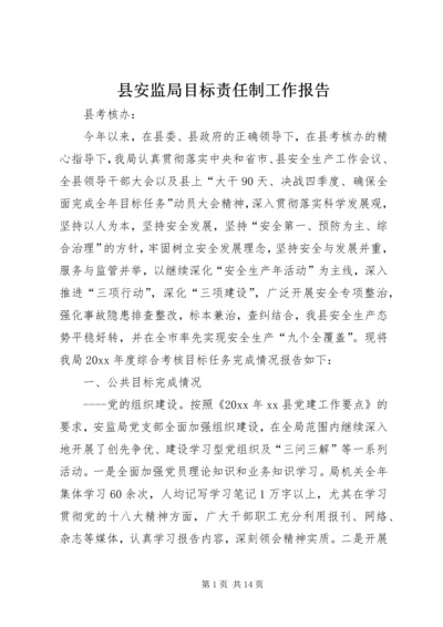 县安监局目标责任制工作报告.docx