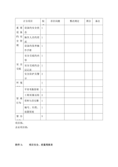 公司项目检查制度.docx