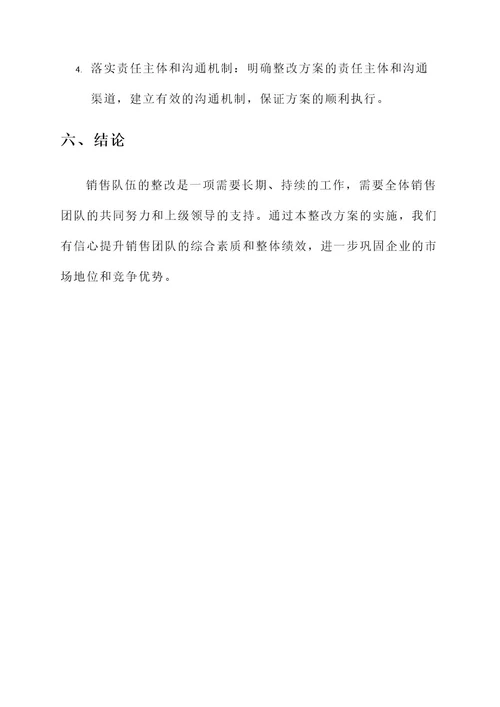 销售队伍整改可行性方案