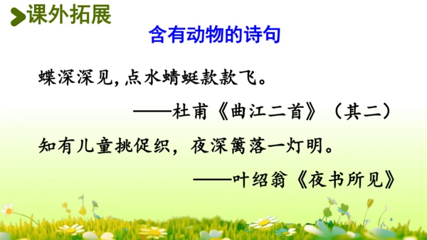 11.我是一只小虫子 课件