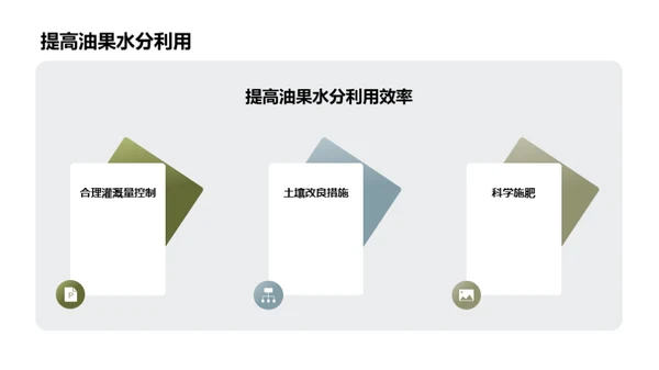 科技助力油果增产