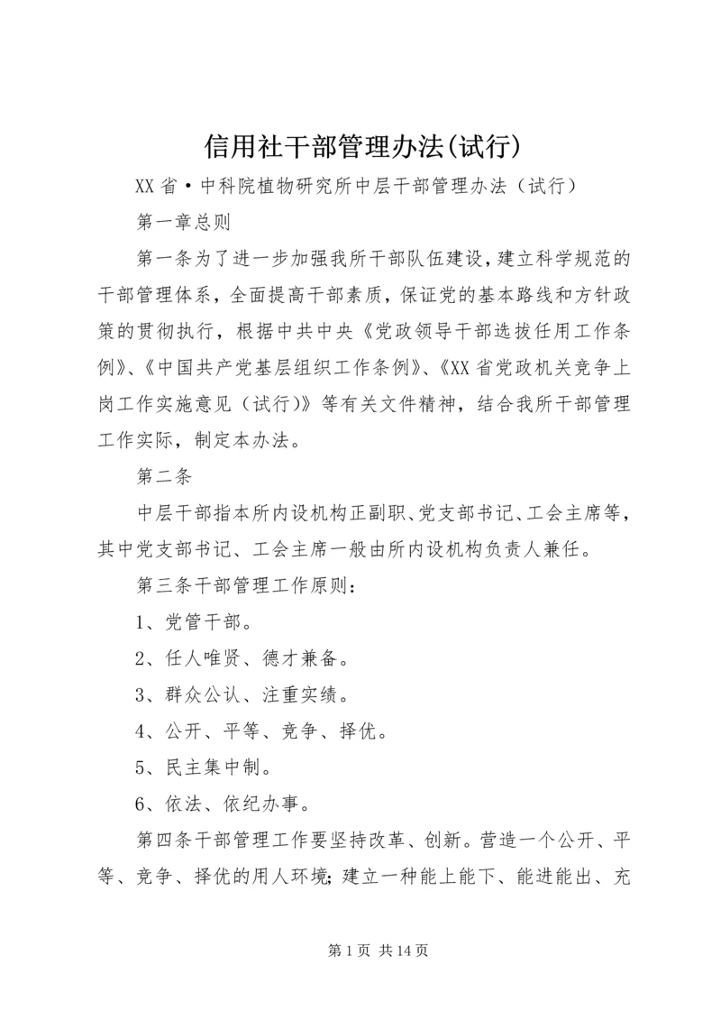 信用社干部管理办法(试行) (2).docx