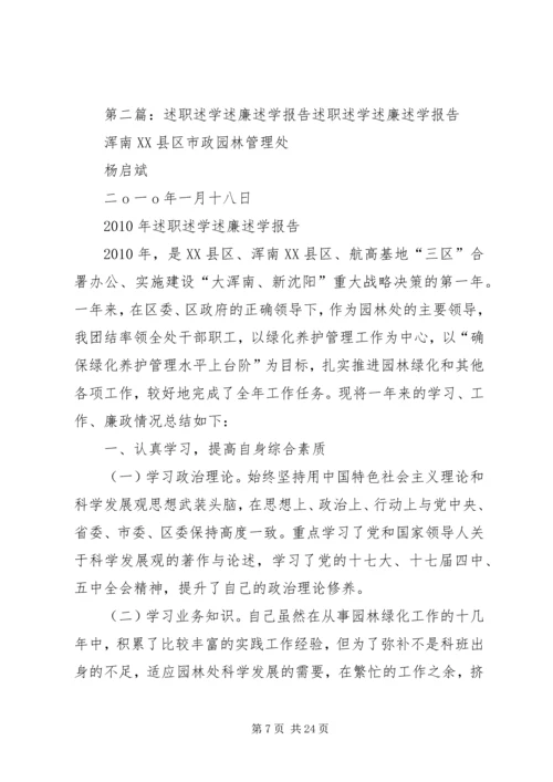 二〇〇九年述学述职述廉报告.docx