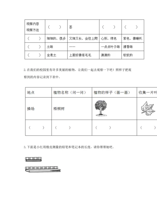 教科版科学一年级上册期末测试卷（考点梳理）.docx