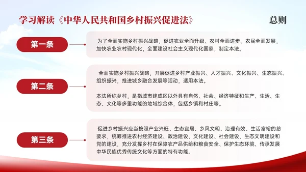 红色简约乡村振兴促进法解读学习PPT模板