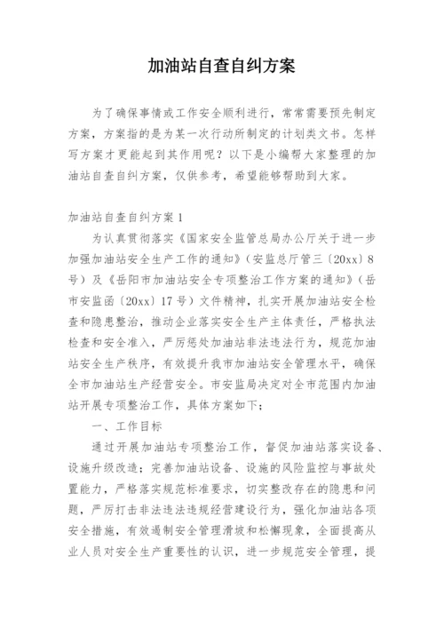 加油站自查自纠方案.docx