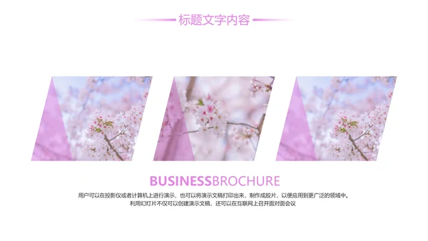 唯美粉红樱花节赏樱花旅游PPT模板