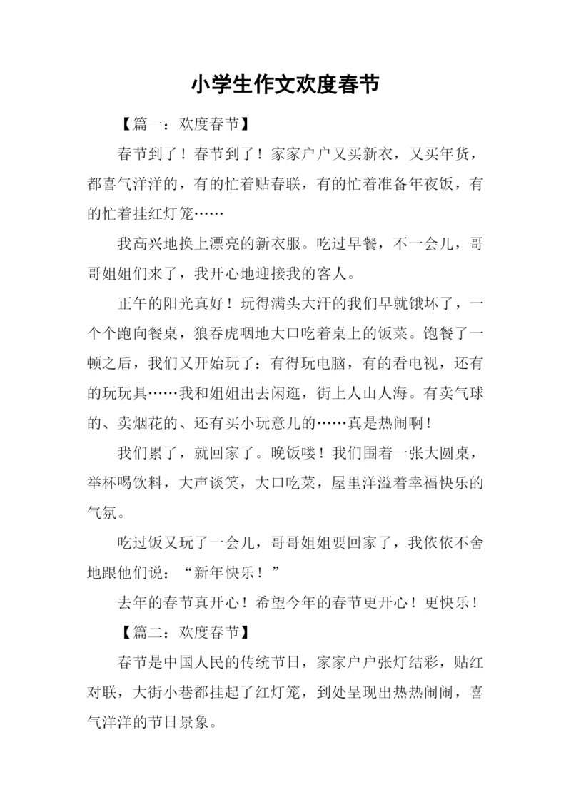 小学生作文欢度春节.docx