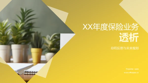 XX年度保险业务透析