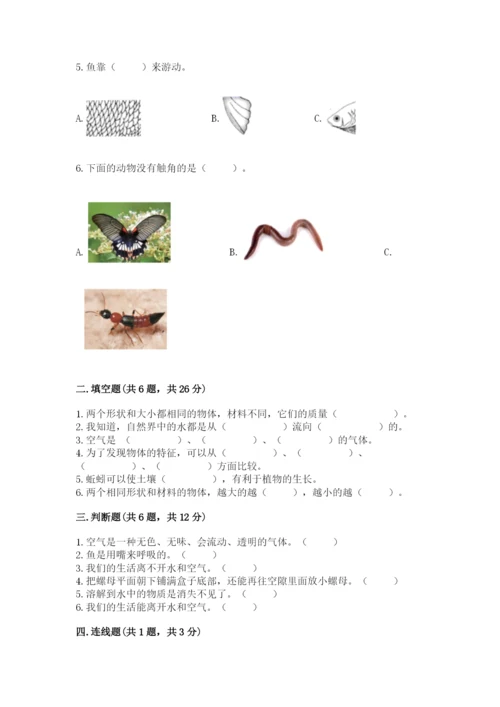 教科版小学科学一年级下册期末测试卷（网校专用）.docx
