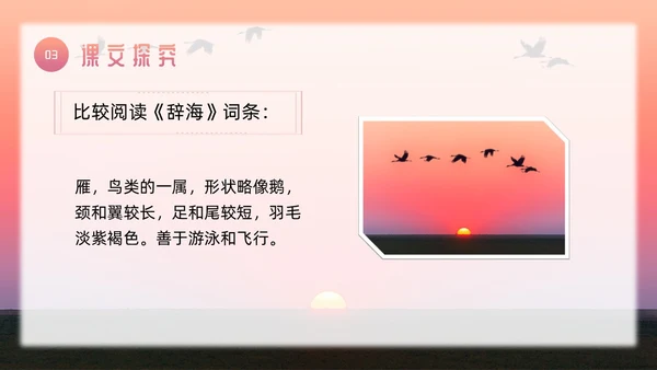 粉色简约八年级语文下册大雁归来PPT模板宣传PPT动态PP