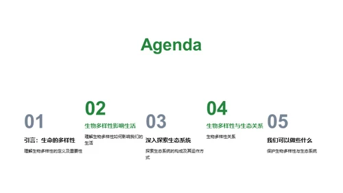 生命与生态