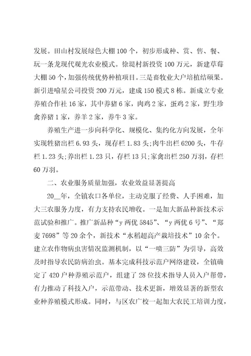 乡镇农业工作总结格式模板（3篇）