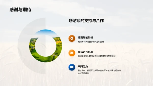农业项目投资策略