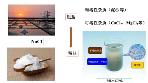 人教版九年级化学下册实验活动《粗盐的提纯》课件