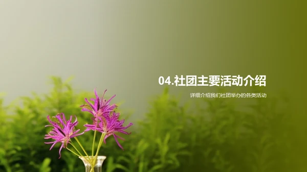 社团力量探索