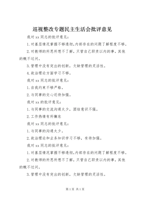 巡视整改专题民主生活会批评意见.docx