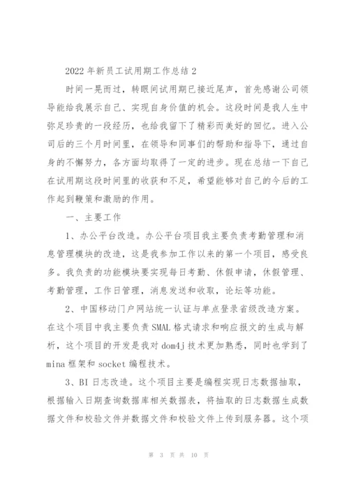 2022年新员工试用期工作总结.docx