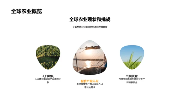 农业创新：绿色革命
