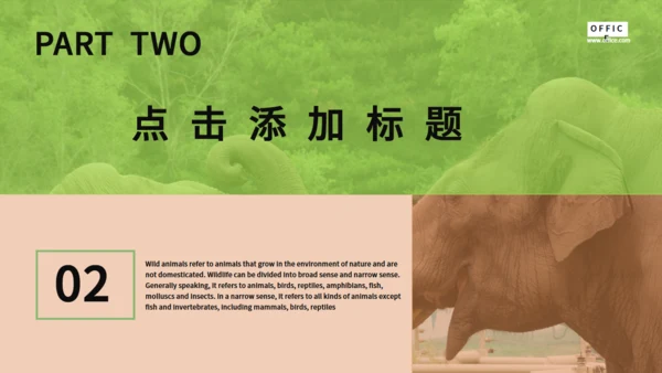 保护野生动物生态通用PPT模板