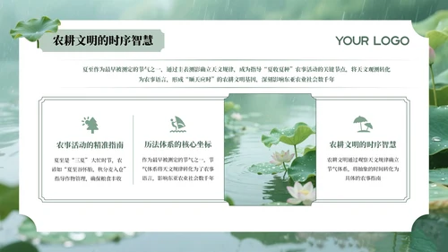 绿色夏至节气介绍通用PPT模板