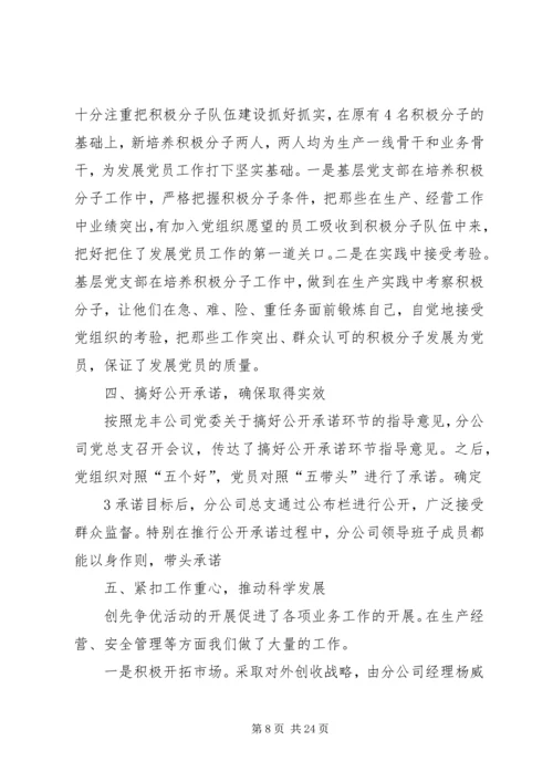 任家河岔创先争优活动总结.docx