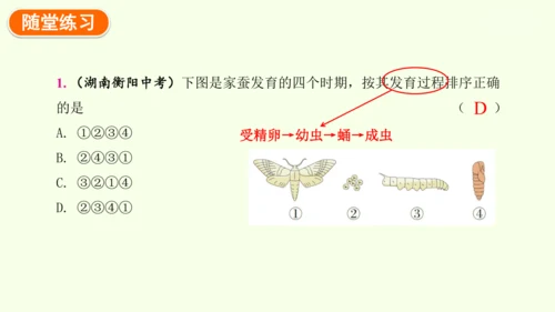 7.1.2昆虫的生殖和发育-八年级生物人教版下学期同步精品课件(共29张PPT)