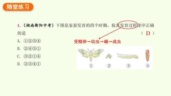 7.1.2昆虫的生殖和发育-八年级生物人教版下学期同步精品课件(共29张PPT)