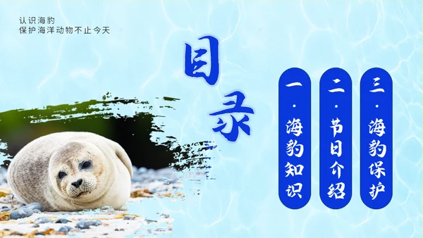 国际海豹日海狮海象通用PPT模板