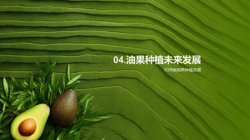 绿色未来：油果种植新篇章