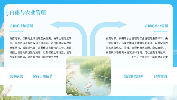 蓝绿色中国风白露节气知识宣传PPT