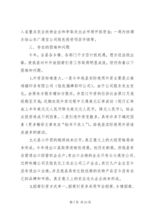 招商局工作总结与招商引资工作计划 (5).docx