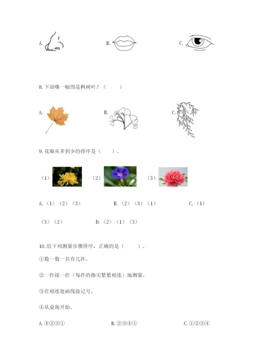 教科版一年级上册科学期末测试卷（典优）.docx
