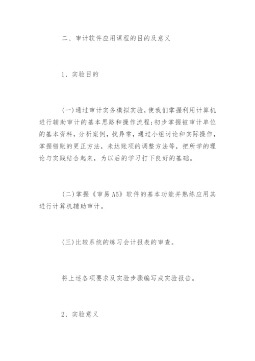 实验的审计报告.docx