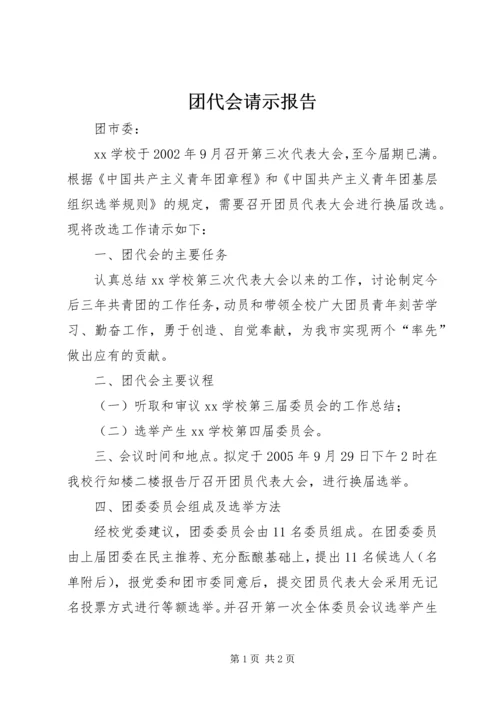 团代会请示报告.docx