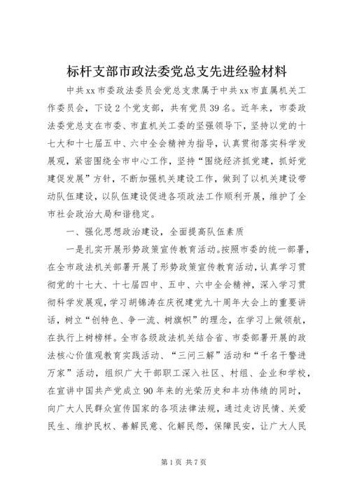 标杆支部市政法委党总支先进经验材料.docx