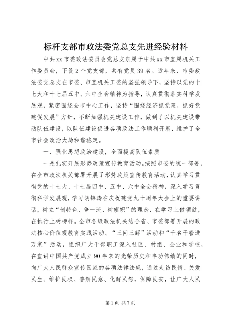 标杆支部市政法委党总支先进经验材料.docx