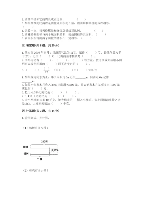 麻阳苗族自治县六年级下册数学期末测试卷一套.docx