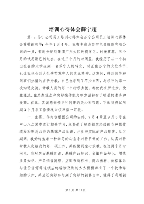 培训心得体会薛宁超 (4).docx