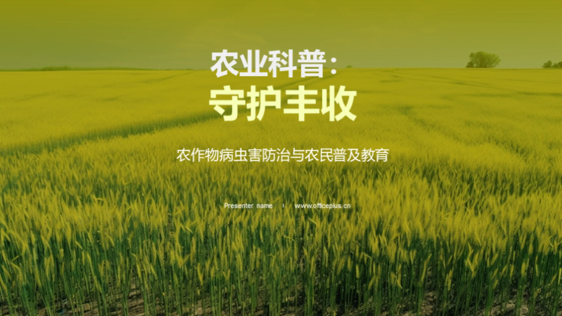 农业科普：守护丰收