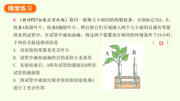 3.2.1水的利用与散失-七年级生物下学期同步精品课件（2024人教版）(共32张PPT)